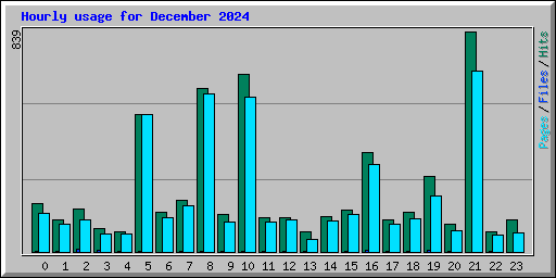 Hourly usage for December 2024