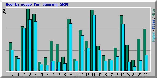 Hourly usage for January 2025