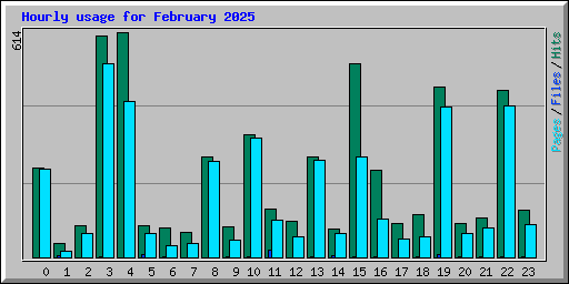 Hourly usage for February 2025