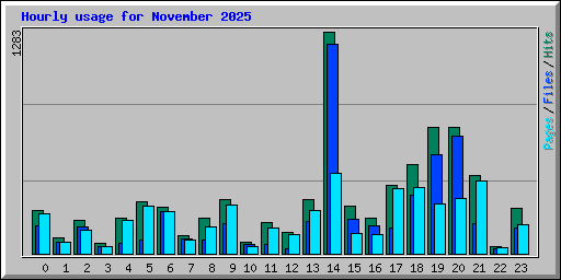 Hourly usage for November 2025