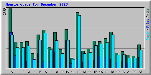 Hourly usage for December 2025
