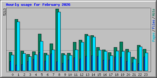 Hourly usage for February 2026