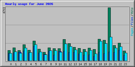 Hourly usage for June 2026